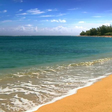 Wonderful Maui Vista-Kihei Kai Nani Beach Condos Buitenkant foto